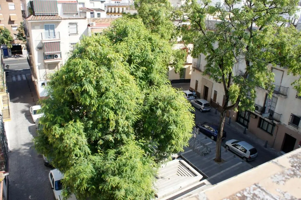 بيت ضيافة Pension Perez Montilla إشبيلية