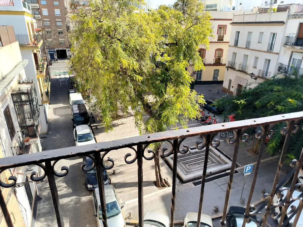 Pensionat Pension Perez Montilla Sevilla